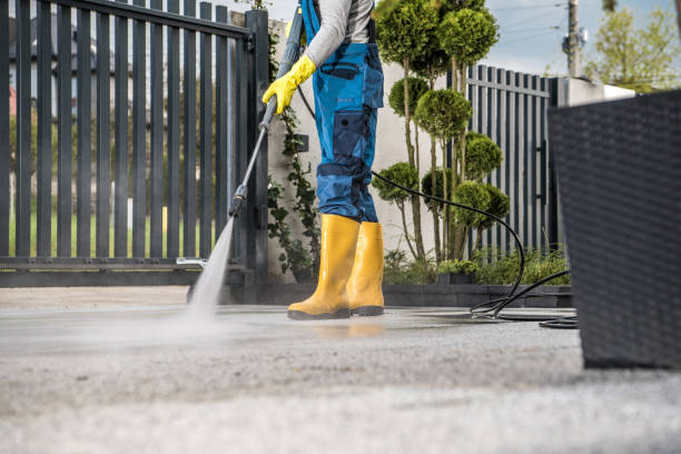 Best Post-Construction Pressure Washing  in Nes, IL